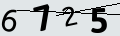 verifycode